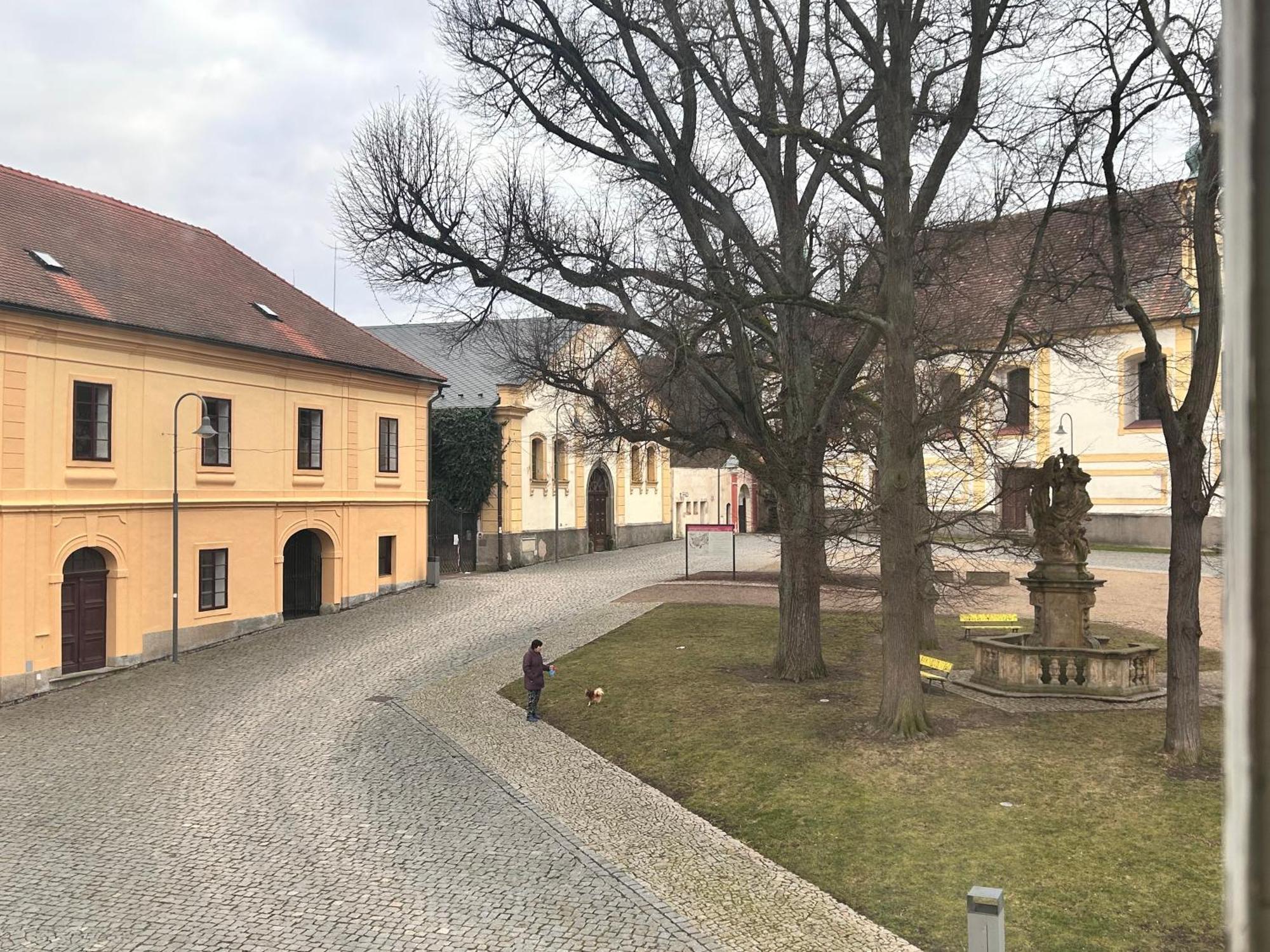 Restaurace A Penzion Podloubi Opočno Exteriör bild